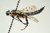  ( - SIR 087)  @14 [ ] Unspecified (default): All Rights Reserved  Unspecified Unspecified