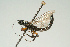  ( - SIR 089)  @14 [ ] Unspecified (default): All Rights Reserved  Unspecified Unspecified