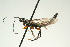  ( - SIR 090)  @13 [ ] Unspecified (default): All Rights Reserved  Unspecified Unspecified