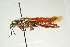  ( - SIR 091)  @13 [ ] Unspecified (default): All Rights Reserved  Unspecified Unspecified