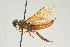  ( - SIR 094)  @14 [ ] Unspecified (default): All Rights Reserved  Unspecified Unspecified