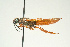  ( - SIR 095)  @14 [ ] Unspecified (default): All Rights Reserved  Unspecified Unspecified