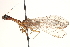  ( - BIOUG10949-C07)  @11 [ ] CreativeCommons - Attribution (2014) CBG Photography Group Centre for Biodiversity Genomics