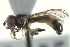  ( - CNC DIPTERA 57468)  @14 [ ] CreativeCommons - Attribution (2012) CNC/CBG Photography Group Centre for Biodiversity Genomics