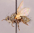  ( - CNC1546988)  @11 [ ] No rights reserved (2022) Unspecified Canadian National Collection of Insects, Arachnids and Nematodes
