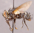  ( - CNC1546999)  @11 [ ] No rights reserved (2022) Unspecified Canadian National Collection of Insects, Arachnids and Nematodes