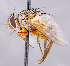  ( - CNC1699829)  @11 [ ] No rights reserved (2021) Unspecified Canadian National Collection of Insects, Arachnids and Nematodes