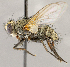  ( - CNC1710146)  @11 [ ] No rights reserved (2021) Unspecified Canadian National Collection of Insects, Arachnids and Nematodes