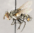  ( - CNC1710242)  @11 [ ] No rights reserved (2021) Unspecified Canadian National Collection of Insects, Arachnids and Nematodes