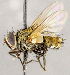  (Frontiniella ethniae - CNC1723953)  @11 [ ] No rights reserved (2021) Unspecified Canadian National Collection of Insects, Arachnids and Nematodes