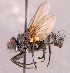  ( - CNC1966717)  @11 [ ] No rights reserved (2022) Unspecified Canadian National Collection of Insects, Arachnids and Nematodes