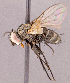  ( - CNC1967119)  @11 [ ] No rights reserved (2022) Unspecified Canadian National Collection of Insects, Arachnids and Nematodes