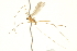  ( - CNC DIPTERA 192460)  @11 [ ] CreativeCommons - Attribution (2012) CNC/CBG Photography Group Centre for Biodiversity Genomics
