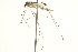  (Pilaria quadrata - CNC DIPTERA 192486)  @12 [ ] CreativeCommons - Attribution (2012) CNC/CBG Photography Group Centre for Biodiversity Genomics