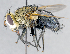  ( - CNC1382176)  @11 [ ] No Rights Reserved  Unspecified Canadian National Collection of Insects Arachnids and Nematodes