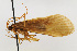  ( - 09CNCTR-0054)  @11 [ ] CreativeCommons - Attribution (2010) Unspecified Centre for Biodiversity Genomics