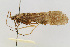 ( - 09CNCTR-0076)  @11 [ ] CreativeCommons - Attribution (2010) Unspecified Centre for Biodiversity Genomics