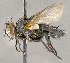  ( - CNC751648)  @13 [ ] No Rights Reserved (2018) Unspecified Canadian National Collection of Insects, Arachnids and Nematodes