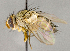  ( - CNC751802)  @15 [ ] No Rights Reserved (2018) Unspecified Canadian National Collection of Insects, Arachnids and Nematodes