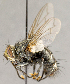  ( - CNC754723)  @11 [ ] No Rights Reserved (2018) Unspecified Canadian National Collection of Insects, Arachnids and Nematodes