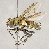  ( - CNC840624)  @11 [ ] No Rights Reserved (2018) Unspecified Canadian National Collection of Insects, Arachnids and Nematodes