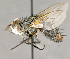  ( - CNC892254)  @11 [ ] No Rights Reserved (2018) Unspecified Canadian National Collection of Insects, Arachnids and Nematodes