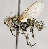  ( - CNC554704)  @11 [ ] Unspecified (default): All Rights Reserved (2017) Unspecified Canadian National Collection of Insects, Arachnids and Nematodes