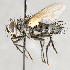  ( - CNC591920)  @11 [ ] Unspecified (default): All Rights Reserved (2017) Unspecified Canadian National Collection of Insects, Arachnids and Nematodes