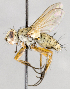  ( - CNC619725)  @13 [ ] No Rights Reserved (2043) Unspecified Canadian National Collection of Insects, Arachnids and Nematodes