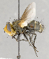  ( - CNC680241)  @13 [ ] No Rights Reserved (2017) Unspecified Canadian National Collection of Insects, Arachnids and Nematodes