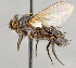  ( - CNC747554)  @13 [ ] No Rights Reserved (2100) Unspecified Canadian National Collection of Insects, Arachnids and Nematodes