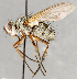  ( - CNC748158)  @11 [ ] No Rights Reserved (2102) Unspecified Canadian National Collection of Insects, Arachnids and Nematodes