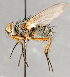  ( - CNC748159)  @14 [ ] No Rights Reserved (2103) Unspecified Canadian National Collection of Insects, Arachnids and Nematodes
