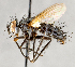  ( - CNC751520)  @11 [ ] No Rights Reserved (2017) Unspecified Canadian National Collection of Insects, Arachnids and Nematodes