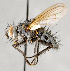  ( - CNC751521)  @11 [ ] No Rights Reserved (2017) Unspecified Canadian National Collection of Insects, Arachnids and Nematodes