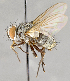  ( - CNC751707)  @11 [ ] No Rights Reserved (2034) Unspecified Canadian National Collection of Insects, Arachnids and Nematodes