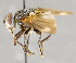  ( - CNC751881)  @11 [ ] No Rights Reserved (2038) Unspecified Canadian National Collection of Insects, Arachnids and Nematodes