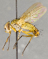  ( - CNC751909)  @12 [ ] No Rights Reserved (2059) Unspecified Canadian National Collection of Insects, Arachnids and Nematodes