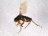  ( - BIOUG03013-B04)  @13 [ ] CreativeCommons - Attribution (2014) CBG Photography Group Centre for Biodiversity Genomics