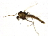  ( - BIOUG03053-F06)  @12 [ ] CreativeCommons - Attribution (2012) CBG Photography Group Centre for Biodiversity Genomics