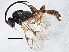  ( - BIOUG03054-C04)  @13 [ ] CreativeCommons - Attribution (2013) CBG Photography Group Centre for Biodiversity Genomics