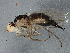  ( - BIOUG03056-H10)  @12 [ ] CreativeCommons - Attribution (2013) CBG Photography Group Centre for Biodiversity Genomics
