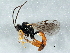  ( - BIOUG03052-A11)  @14 [ ] CreativeCommons - Attribution (2014) CBG Photography Group Centre for Biodiversity Genomics