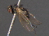  ( - BIOUG03399-D01)  @12 [ ] CreativeCommons - Attribution (2012) CBG Photography Group Centre for Biodiversity Genomics