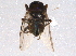  ( - BIOUG03153-F01)  @13 [ ] CreativeCommons - Attribution (2014) CBG Photography Group Centre for Biodiversity Genomics