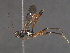  ( - BIOUG03397-E07)  @13 [ ] CreativeCommons - Attribution (2012) CBG Photography Group Centre for Biodiversity Genomics