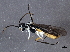  ( - BIOUG03052-G12)  @13 [ ] CreativeCommons - Attribution (2013) CBG Photography Group Centre for Biodiversity Genomics