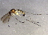  ( - BIOUG03237-C05)  @13 [ ] CreativeCommons - Attribution (2014) CBG Photography Group Centre for Biodiversity Genomics