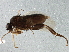  ( - BIOUG03362-A11)  @14 [ ] CreativeCommons - Attribution (2013) CBG Photography Group Centre for Biodiversity Genomics