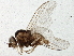  ( - BIOUG03362-E10)  @12 [ ] CreativeCommons - Attribution (2013) CBG Photography Group Centre for Biodiversity Genomics